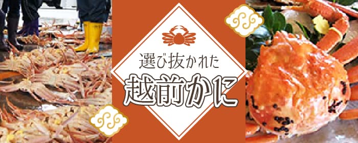 選び抜かれた越前がに