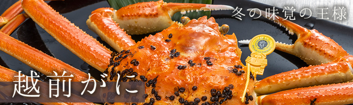 冬の味覚の王様 越前がに