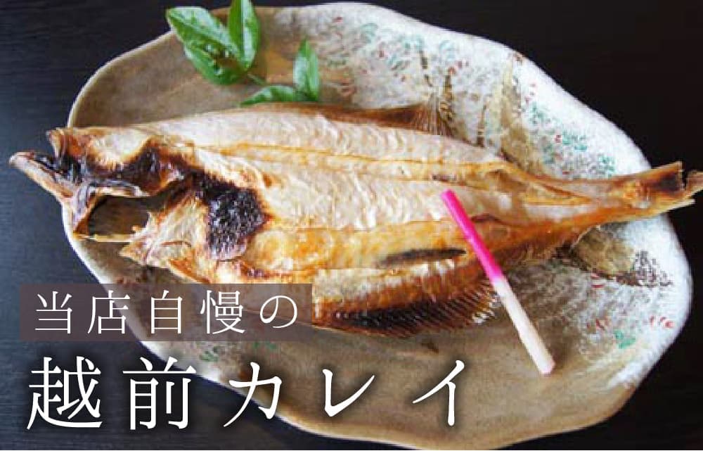 越前カレイ