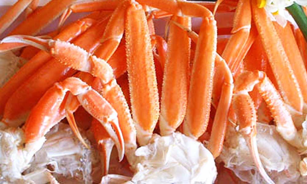 みずがに ずぼがに画像