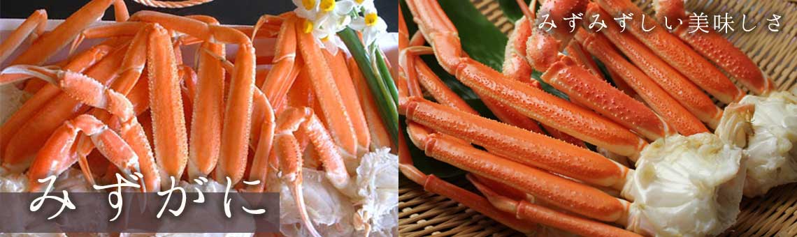 みずみずしい美味しさ みずがに